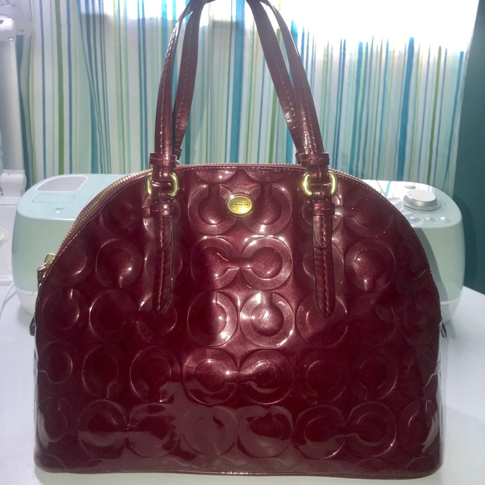Coach Signature Leather Dome Satchel